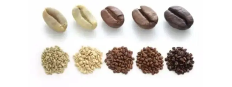 Imagem de grãos de café em diferentes fases